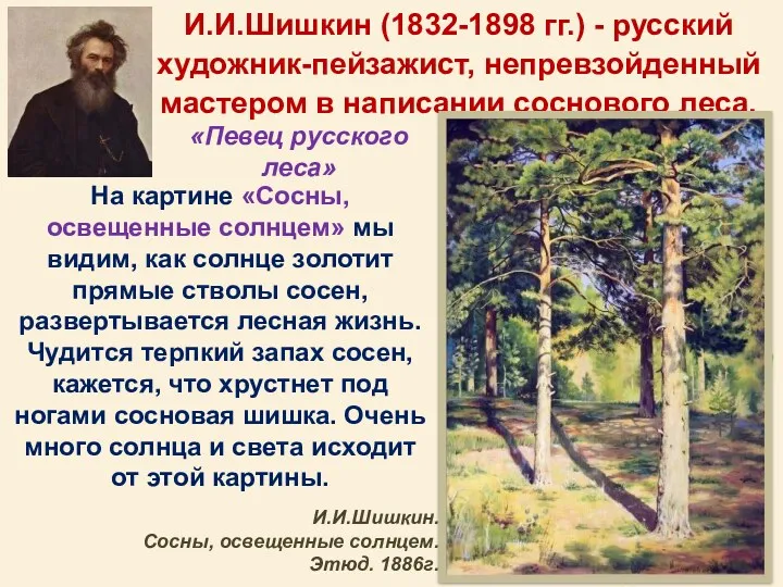 И.И.Шишкин (1832-1898 гг.) - русский художник-пейзажист, непревзойденный мастером в написании соснового леса. На