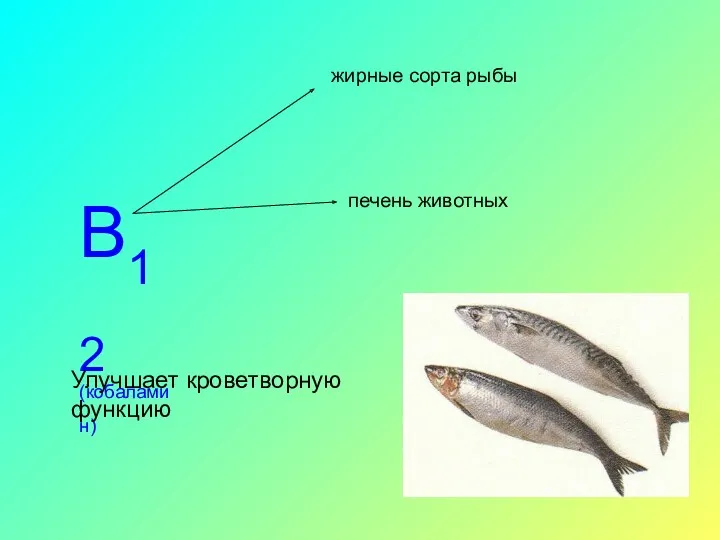 В12 (кобаламин) Улучшает кроветворную функцию жирные сорта рыбы печень животных