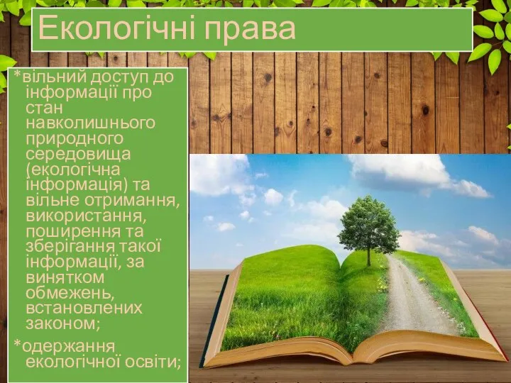 *вільний доступ до інформації про стан навколишнього природного середовища (екологічна