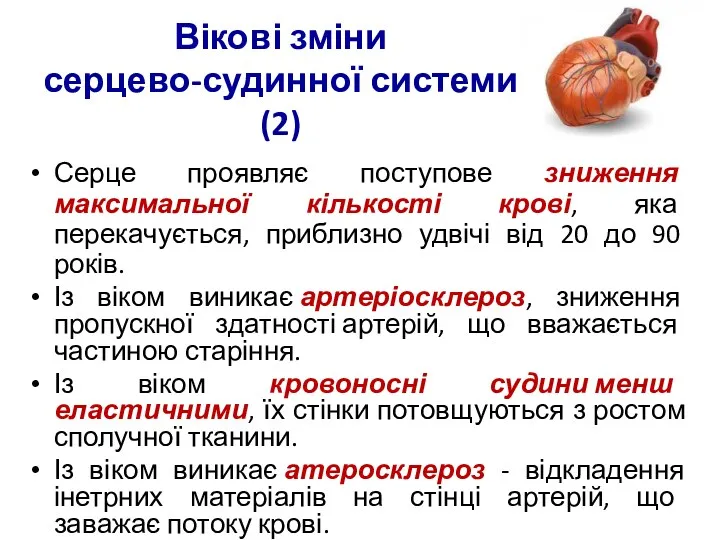 Серце проявляє поступове зниження максимальної кількості крові, яка перекачується, приблизно удвічі від 20