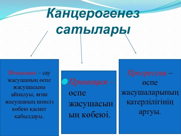 Канцерогенез сатылары Промоция – өспе жасушасының көбеюі. Инициация – сау