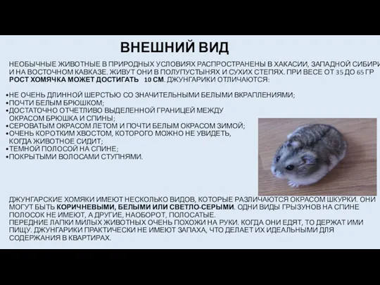 НЕОБЫЧНЫЕ ЖИВОТНЫЕ В ПРИРОДНЫХ УСЛОВИЯХ РАСПРОСТРАНЕНЫ В ХАКАСИИ, ЗАПАДНОЙ СИБИРИ