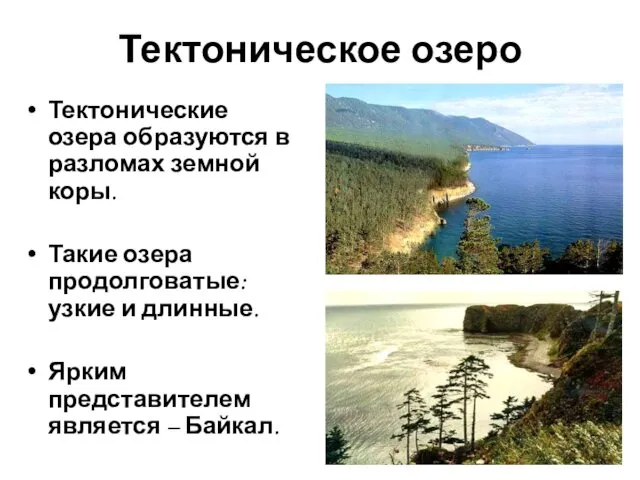 Тектоническое озеро Тектонические озера образуются в разломах земной коры. Такие