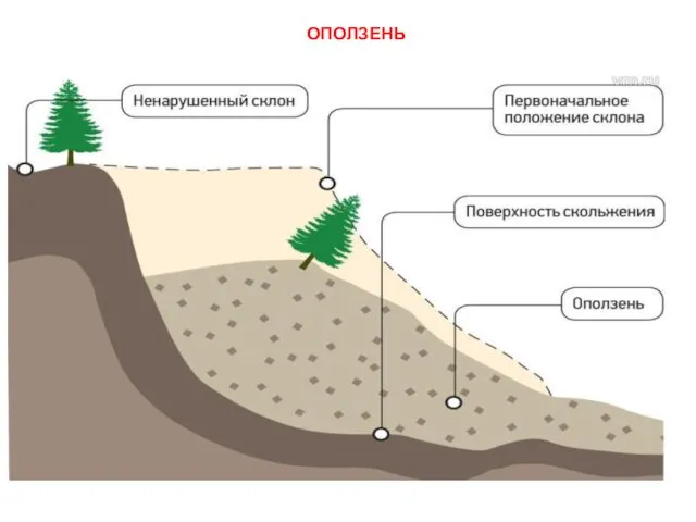 ОПОЛЗЕНЬ