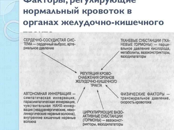 Факторы, регулирующие нормальный кровоток в органах желудочно-кишечного тракта