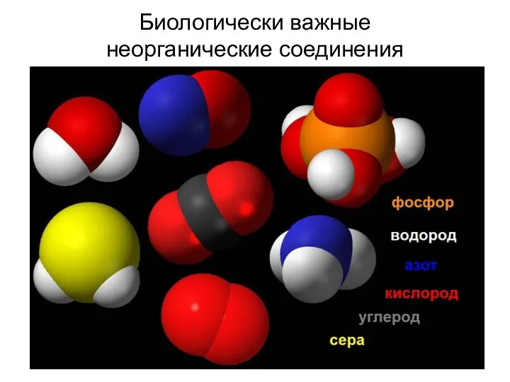 Биологически важные неорганические соединения