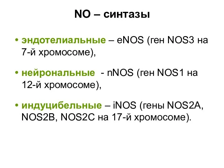 NO – синтазы эндотелиальные – eNOS (ген NOS3 на 7-й