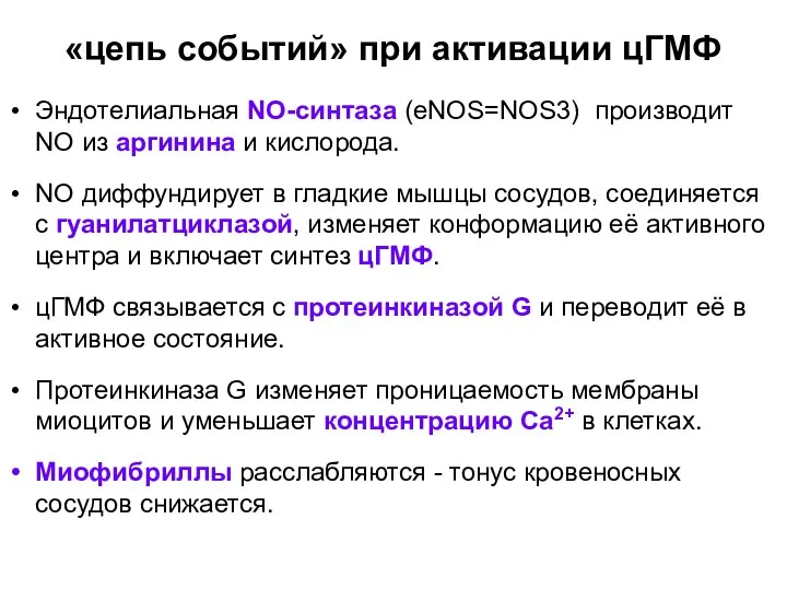 «цепь событий» при активации цГМФ Эндотелиальная NO-синтаза (eNOS=NOS3) производит NO