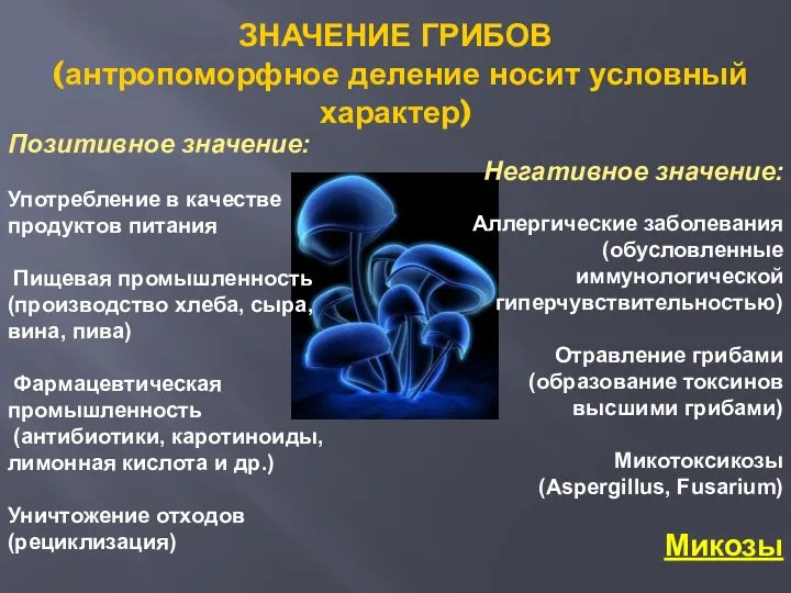 ЗНАЧЕНИЕ ГРИБОВ (антропоморфное деление носит условный характер) Позитивное значение: Употребление в качестве продуктов