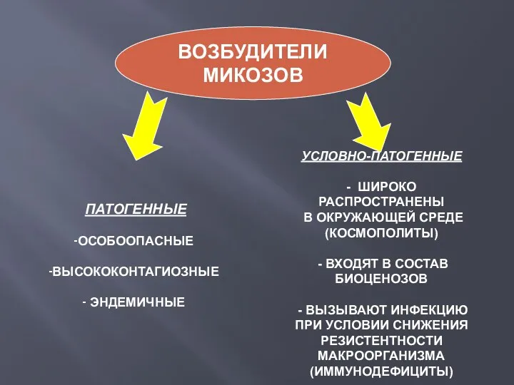 ВОЗБУДИТЕЛИ МИКОЗОВ ПАТОГЕННЫЕ ОСОБООПАСНЫЕ ВЫСОКОКОНТАГИОЗНЫЕ ЭНДЕМИЧНЫЕ УСЛОВНО-ПАТОГЕННЫЕ - ШИРОКО РАСПРОСТРАНЕНЫ