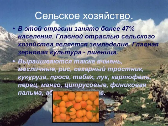 Сельское хозяйство. В этой отрасли занято более 47% населения. Главной