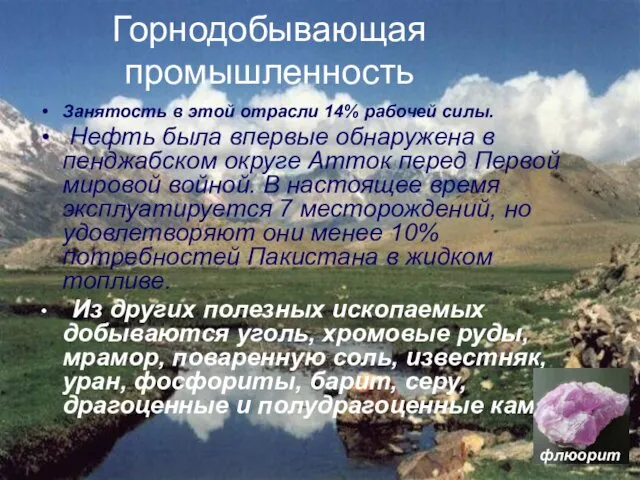 Горнодобывающая промышленность Занятость в этой отрасли 14% рабочей силы. Нефть была впервые обнаружена