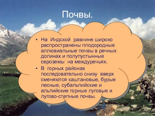 Почвы. На Индской равнине широко распространены плодородные аллювиальные почвы в