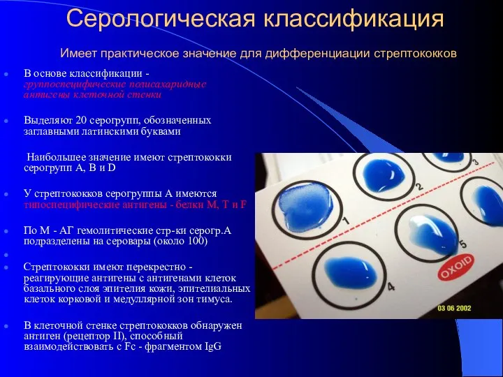 Серологическая классификация Имеет практическое значение для дифференциации стрептококков В основе