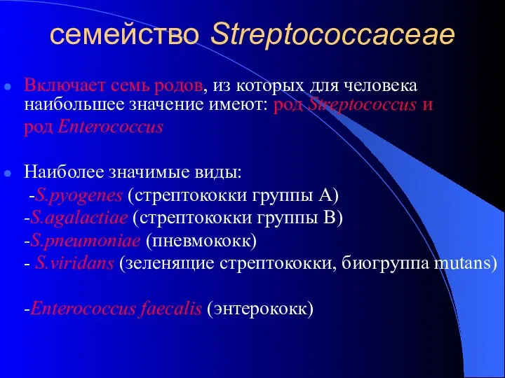 семейство Streptococcaceae Включает семь родов, из которых для человека наибольшее