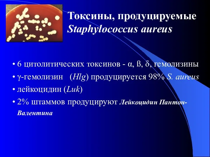 Токсины, продуцируемые Staphylococcus aureus 6 цитолитических токсинов - α, ß,