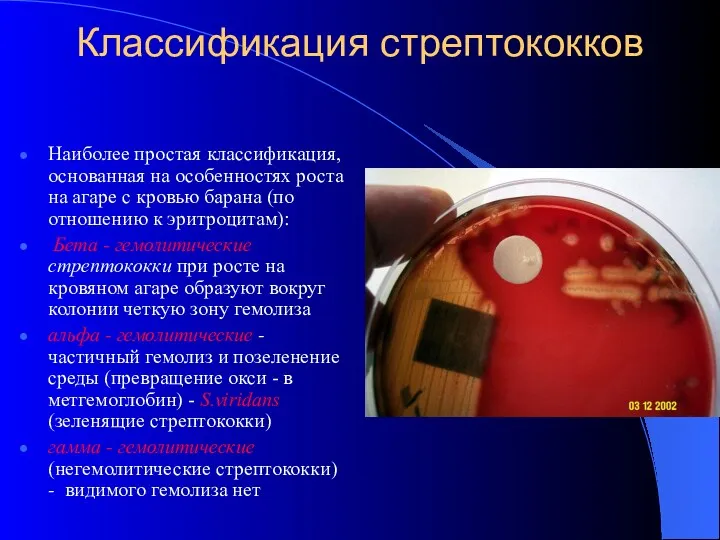 Классификация стрептококков Наиболее простая классификация, основанная на особенностях роста на