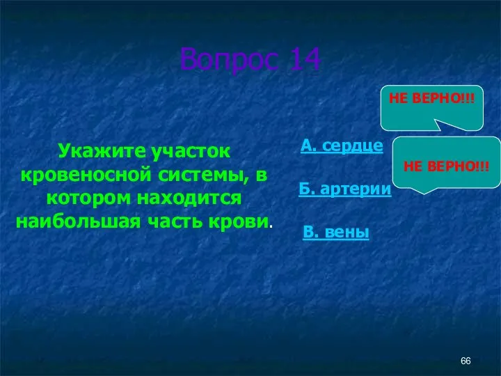 Вопрос 14 Укажите участок кровеносной системы, в котором находится наибольшая