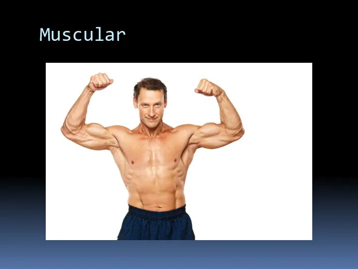 Muscular