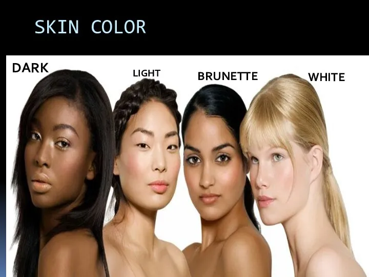 SKIN COLOR WHITE DARK BRUNETTE LIGHT