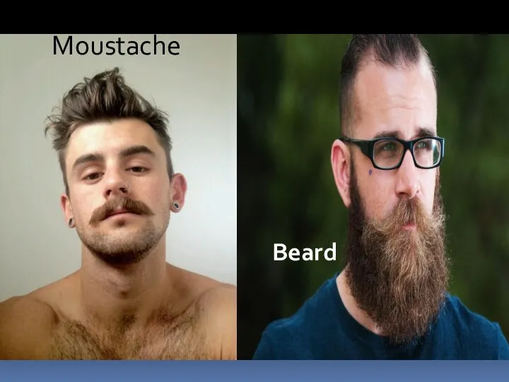 Moustache Beard