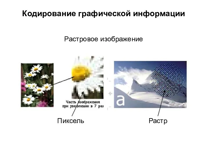 Кодирование графической информации Растровое изображение Пиксель Растр