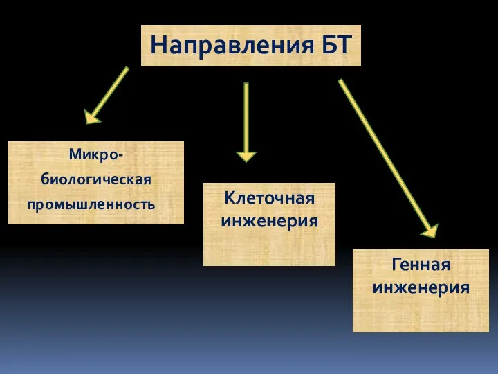 Микро- биологическая промышленность Клеточная инженерия Генная инженерия Направления БТ