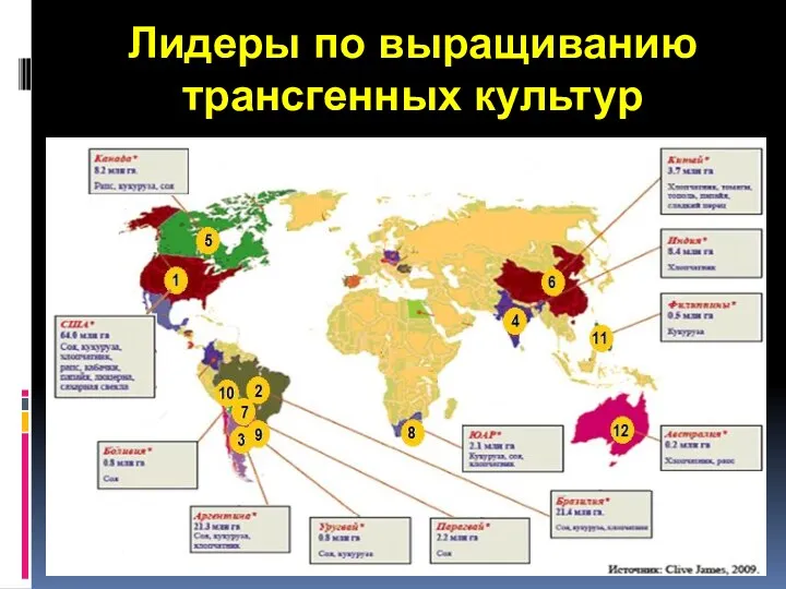 Лидеры по выращиванию трансгенных культур