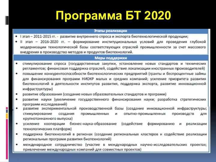 Программа БТ 2020