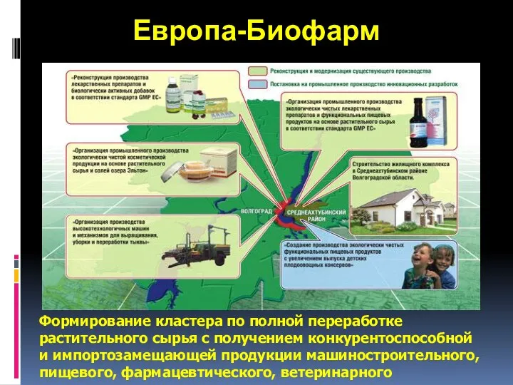 Европа-Биофарм Формирование кластера по полной переработке растительного сырья с получением