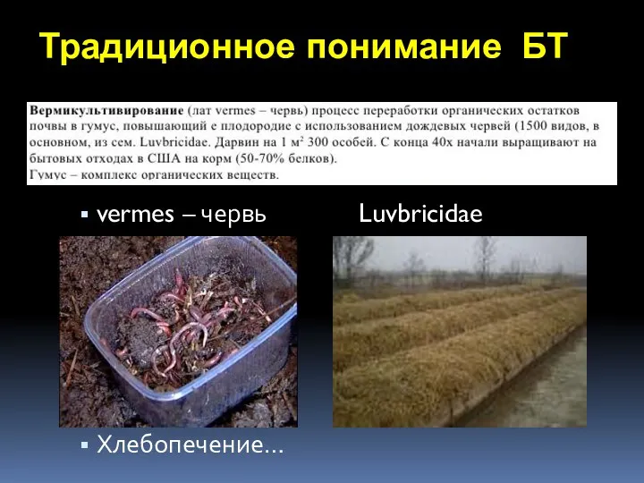 Традиционное понимание БТ vermes – червь Luvbricidae Хлебопечение…