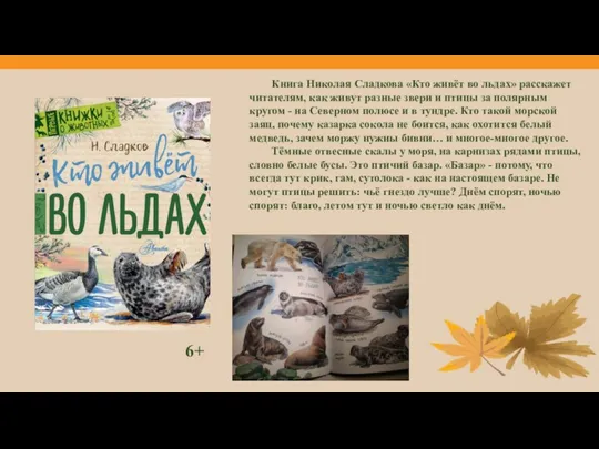 Книга Николая Сладкова «Кто живёт во льдах» расскажет читателям, как живут разные звери