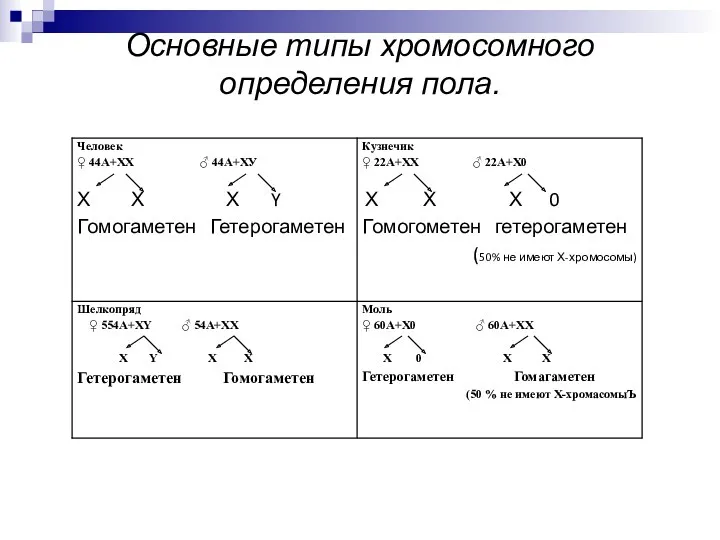 Основные типы хромосомного определения пола.