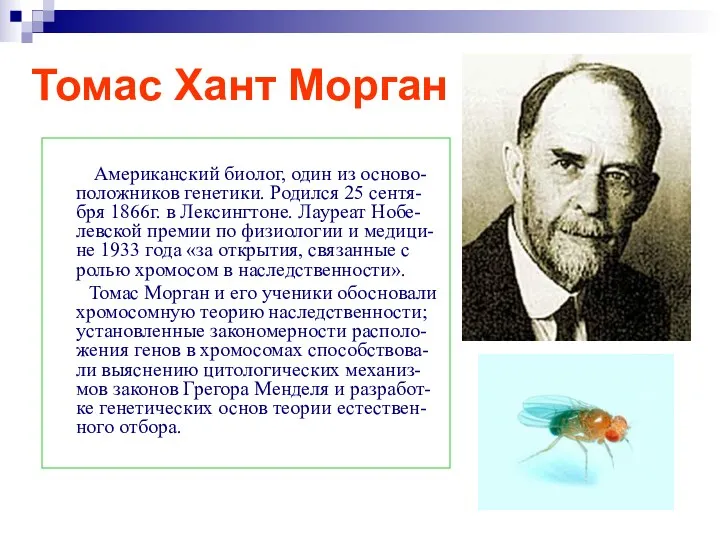 Томас Хант Морган Американский биолог, один из осново-положников генетики. Родился