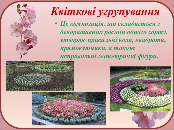 Квіткові угрупування Це композиція, що складається з декоративних рослин одного сорту, утворює правильні
