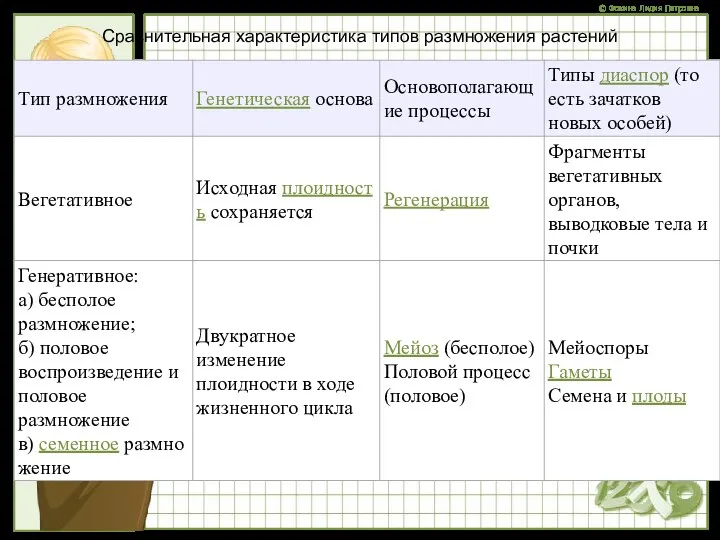 Сравнительная характеристика типов размножения растений