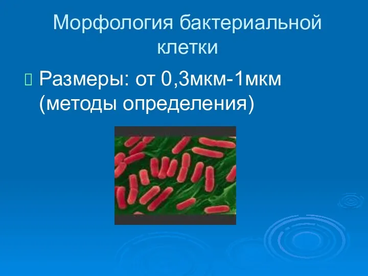 Морфология бактериальной клетки Размеры: от 0,3мкм-1мкм (методы определения)