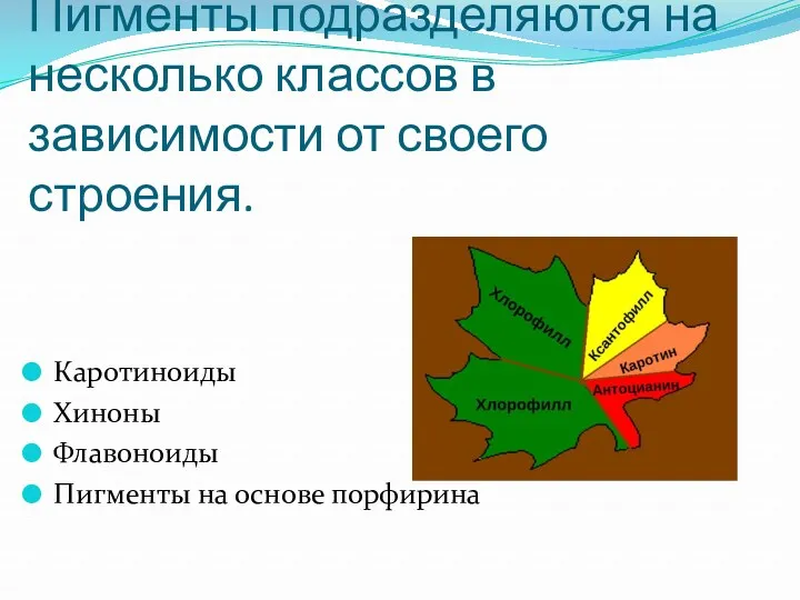 Пигменты подразделяются на несколько классов в зависимости от своего строения.