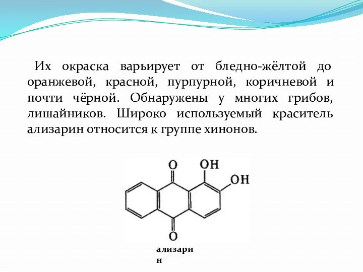 Их окраска варьирует от бледно-жёлтой до оранжевой, красной, пурпурной, коричневой