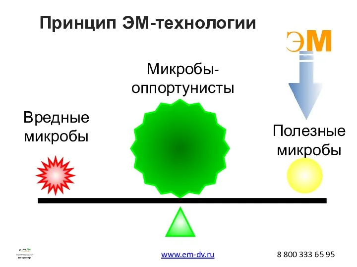 Вредные микробы Полезные микробы Принцип ЭМ-технологии Микробы- оппортунисты