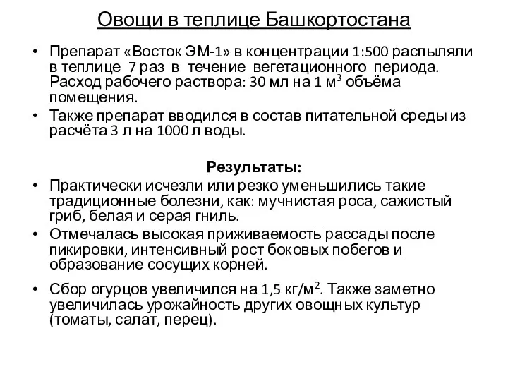 Овощи в теплице Башкортостана Препарат «Восток ЭМ-1» в концентрации 1:500 распыляли в теплице