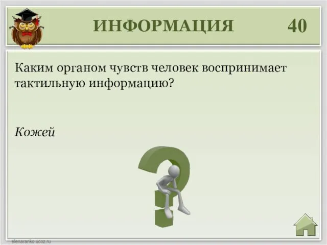 ИНФОРМАЦИЯ 40 Кожей Каким органом чувств человек воспринимает тактильную информацию?