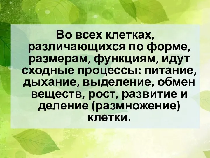 Во всех клетках, различающихся по форме, размерам, функциям, идут сходные