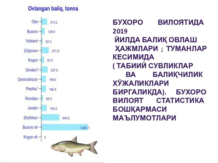 БУХОРО ВИЛОЯТИДА 2019 ЙИЛДА БАЛИҚ ОВЛАШ ҲАЖМЛАРИ ; ТУМАНЛАР КЕСИМИДА