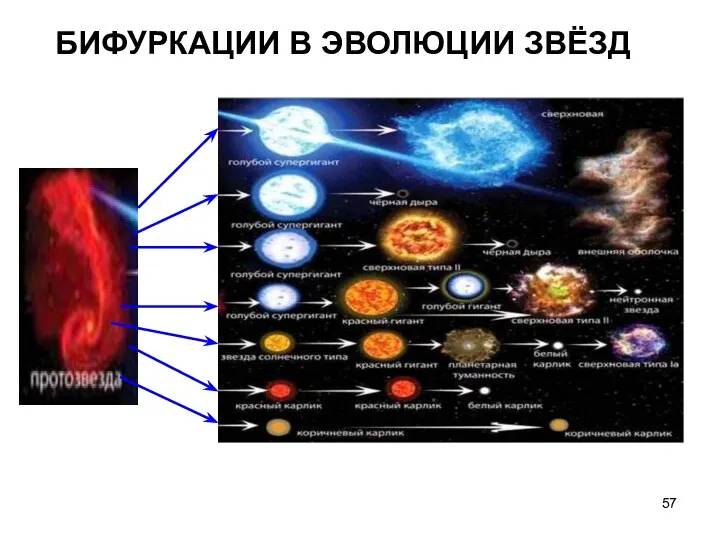 БИФУРКАЦИИ В ЭВОЛЮЦИИ ЗВЁЗД