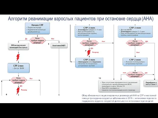 Алгоритм реанимации взрослых пациентов при остановке сердца (АНА) Обзор обновленных