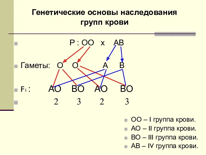 ОО – I группа крови. АО – II группа крови.