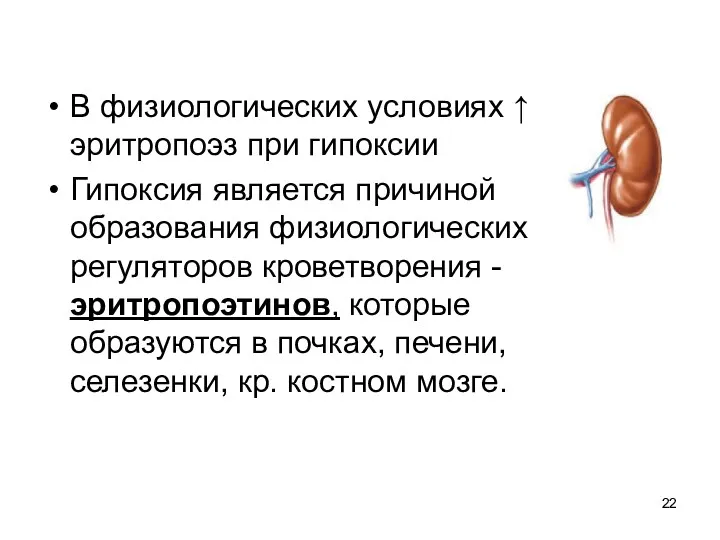 В физиологических условиях ↑ эритропоэз при гипоксии Гипоксия является причиной