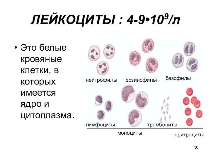 ЛЕЙКОЦИТЫ : 4-9•109/л Это белые кровяные клетки, в которых имеется