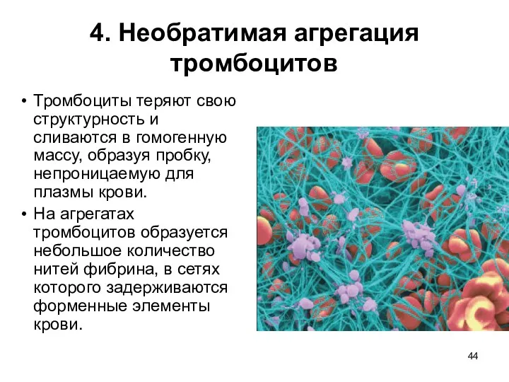 4. Необратимая агрегация тромбоцитов Тромбоциты теряют свою структурность и сливаются